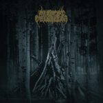 Harvest Gulgaltha – Ancient Woods