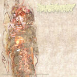 Pharmacist – Flourishing Extremities on Unspoiled Mental Grounds – Cover
