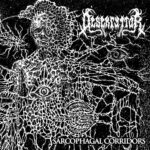 Desekryptor – Sarcophagal Corridors
