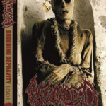 Woundead – Breeding Depravity