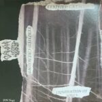Eerified Catacomb – Liquidation Of SoulS