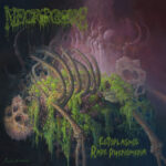 Necrogore - Ectoplasmic Rape Phenomena Necrogore - Ectoplasmic Rape Phenomena